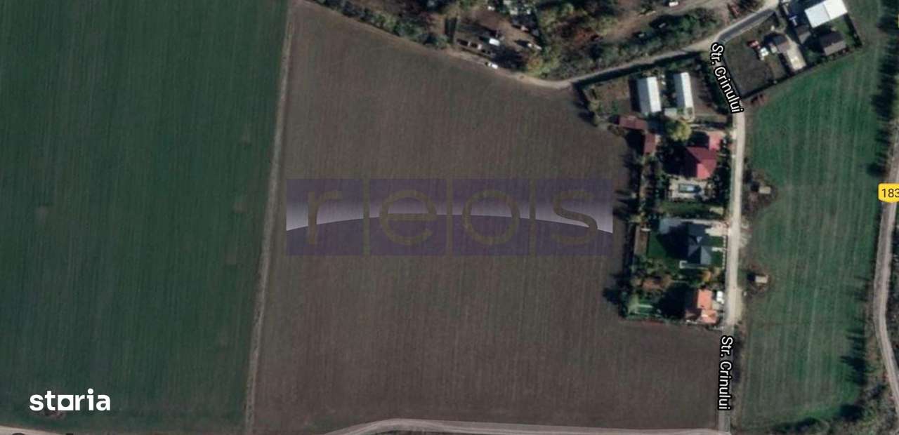 TEREN DE VANZARE 12760MP COMUNA DASCALU - Imagine principală: 1/7