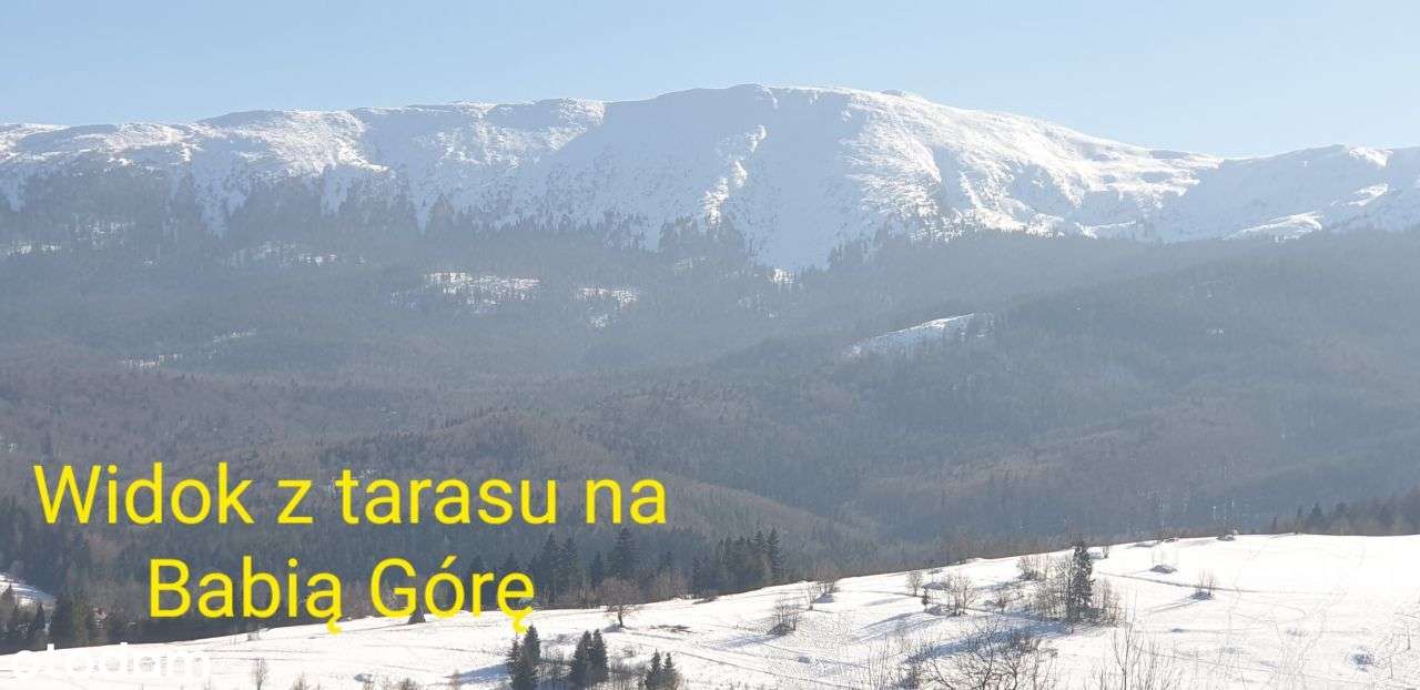 Inwestycja osiedle 8 domów z bali z działką Zawoja-5