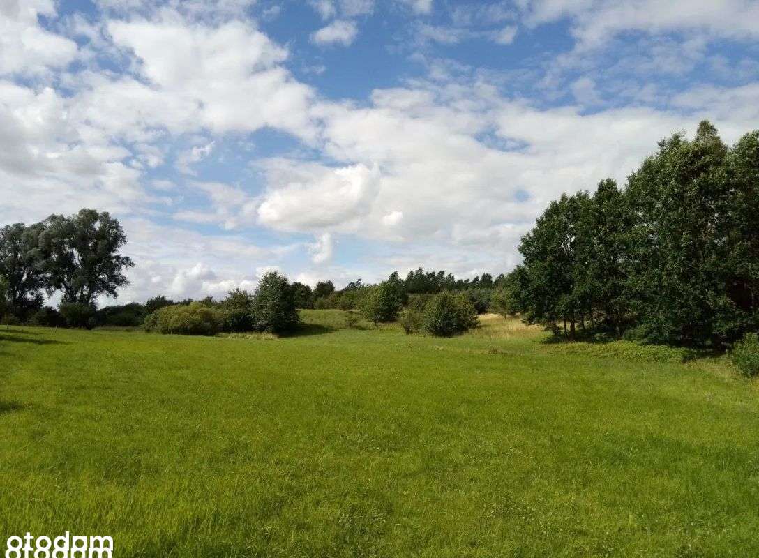 Działka Brodnica cisza spokój, sosnowy las, blisko-0