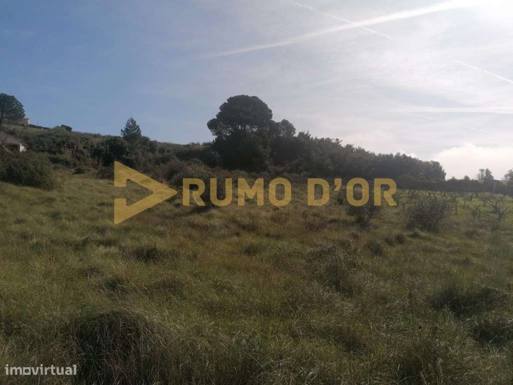 Terreno rustico com parcela urbana a 5 km do centro de Vila Franca ... - Grande imagem: 4/11