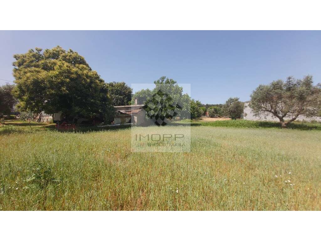 Fabulosa propriedade na zona centro do país com mais de 4.000m2 e m...-39