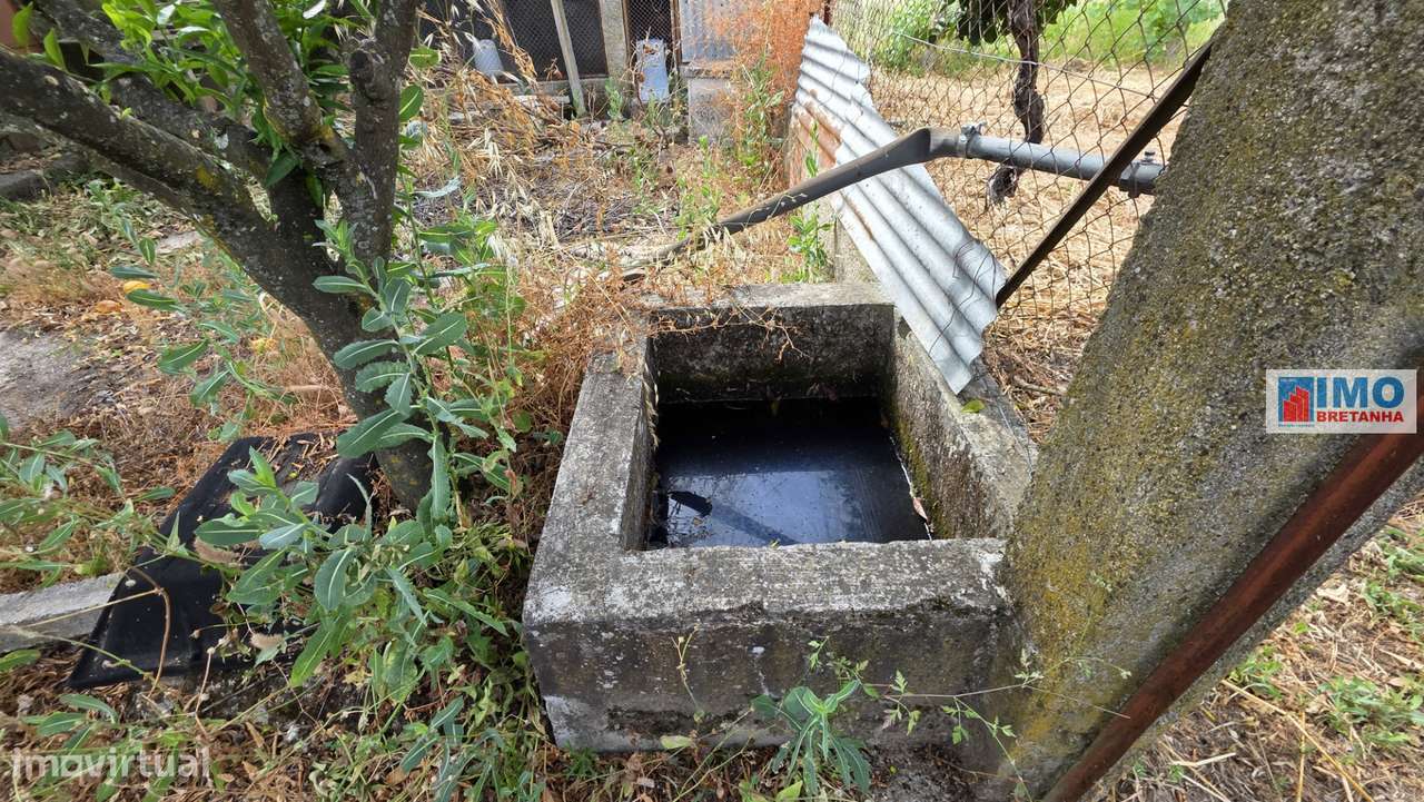 Quinta com garagem em Escalos de Cima-23