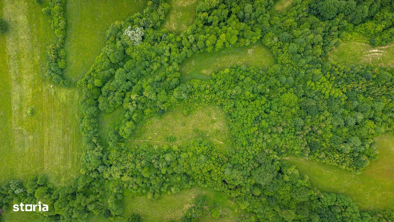 Teren cu energie specială/Fagaras/Plata in max 3 rate-6