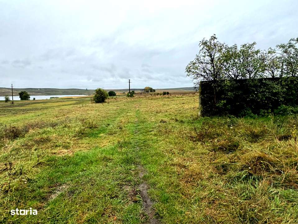 Vanzare 10.000 mp teren Liteni Suceava- la strada -potrivit proiect fo - Imagine principală: 4/19