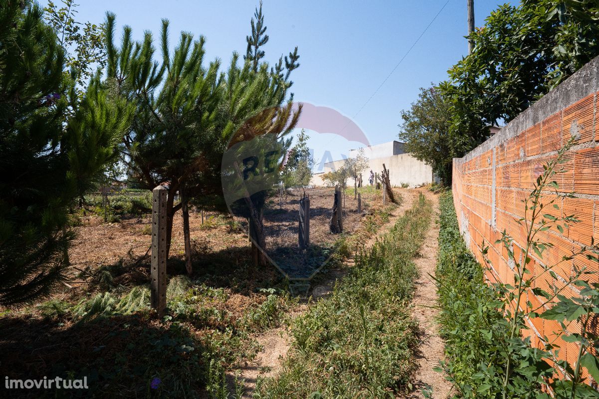 Terreno  para venda