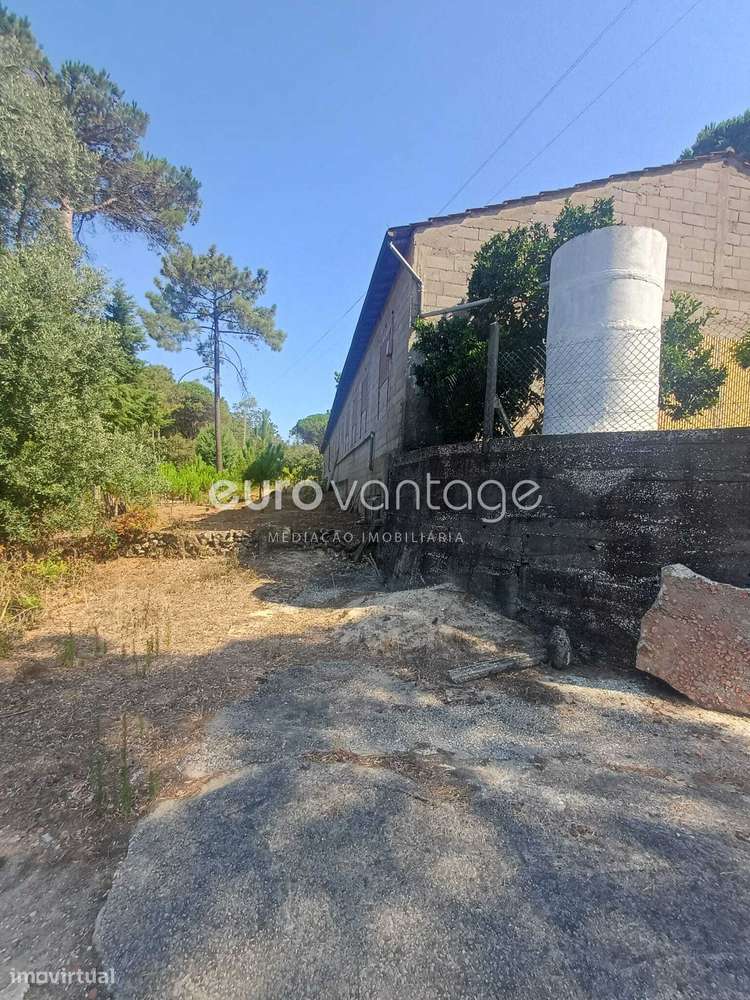 Pavilhão Amplo destinado a Aviario - Grande imagem: 4/6