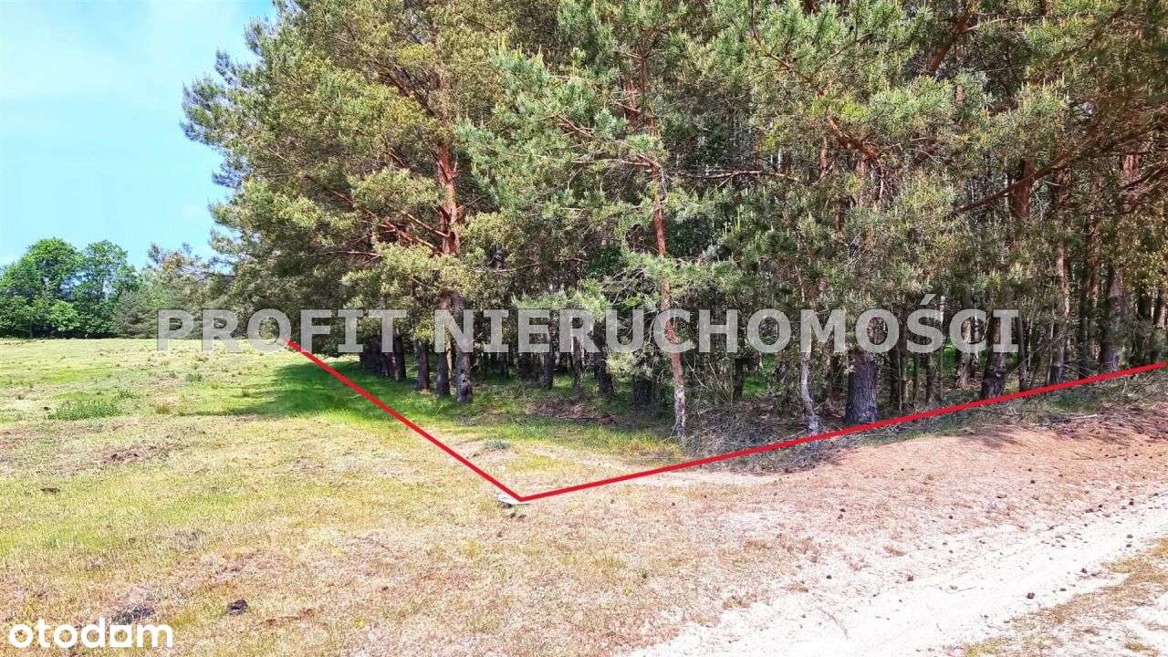 Działka w otulinie lasu opodal jeziora Lubowidz - Pełny obrazek: 5/8