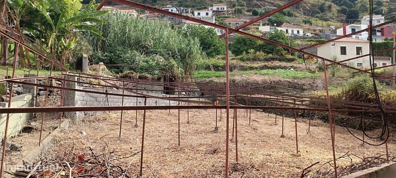 Terreno Urbano  Venda em Campanário,Ribeira Brava-11