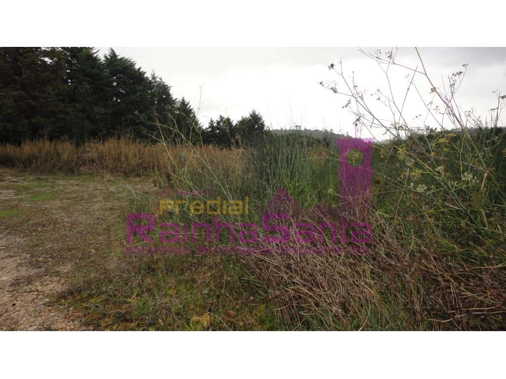 Terreno c/viabilidade p/ construção - Coimbra - Grande imagem: 2/3