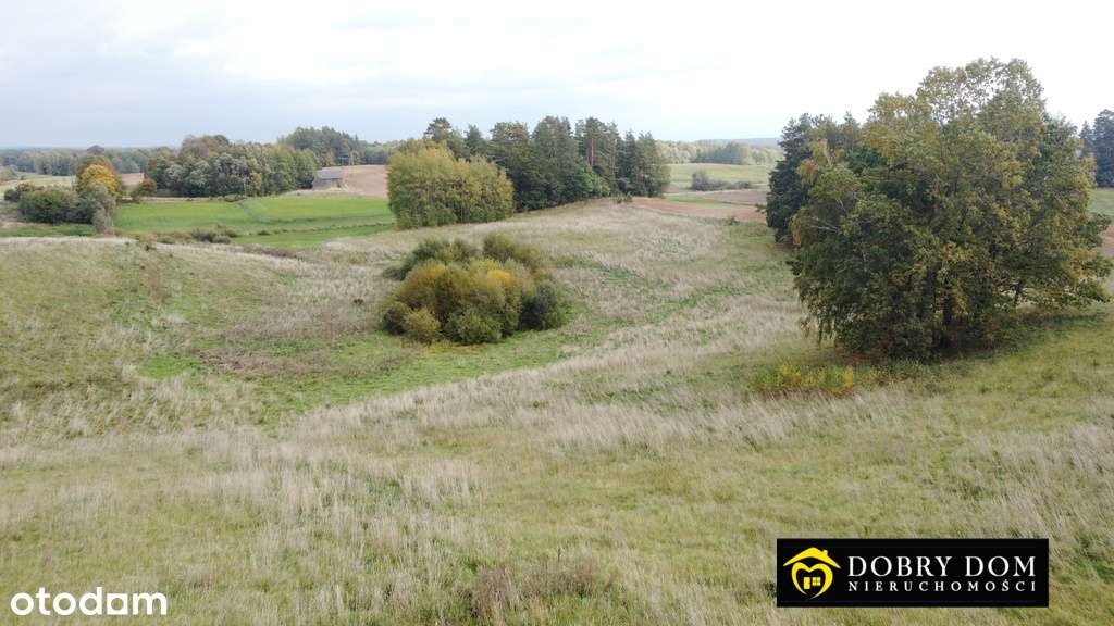 Piękna działka rolna 4,1 ha nad jeziorem-gmina Giby-12