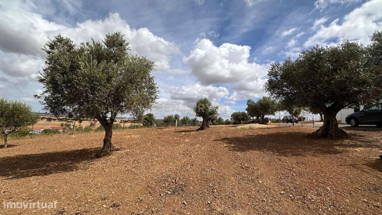 Quinta em Trigaches — 1 hectare em comunhão com a natureza-18