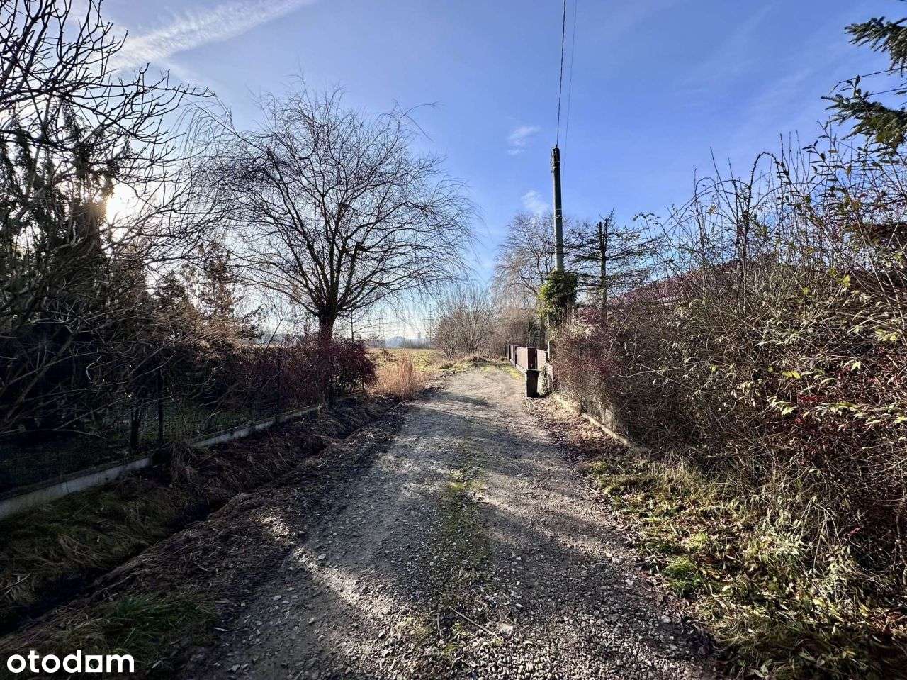 Stara Wesoła, działka 1,4ha - Pełny obrazek: 4/15