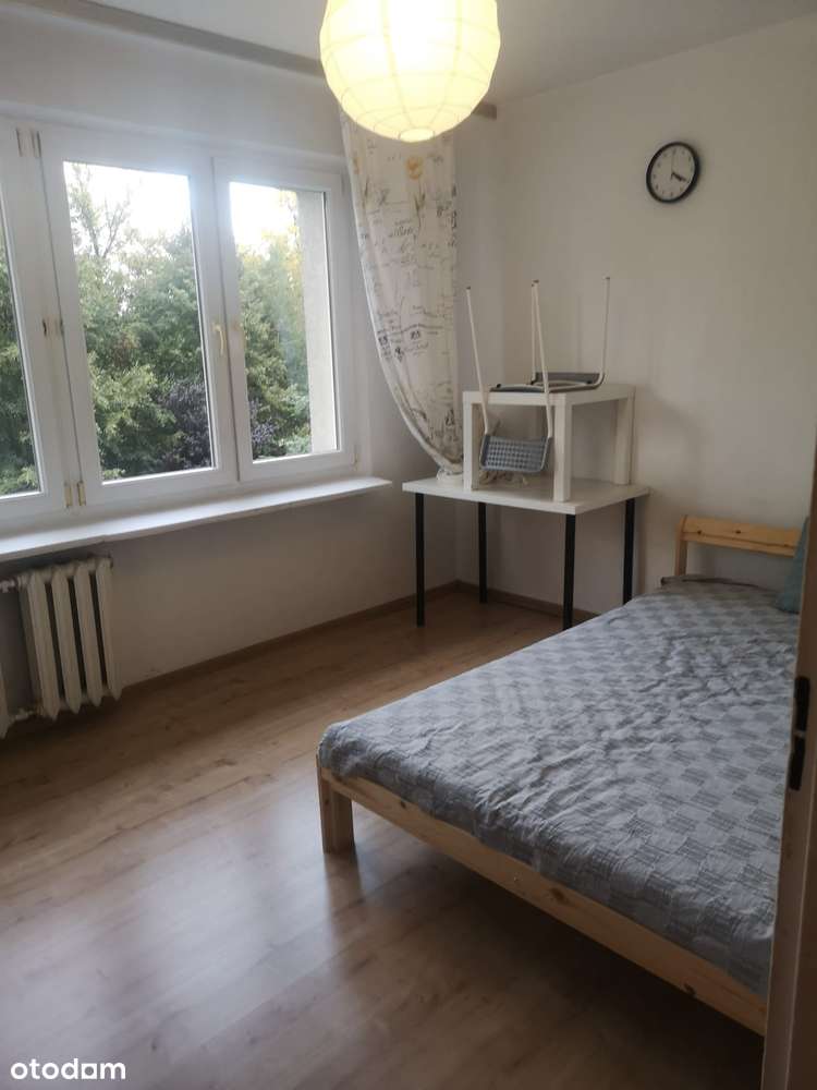 Balkon, Winda, Piwnica w cenie, 2gie Pietro, Zielona okolica!-3