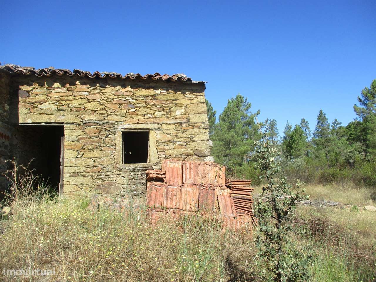Quinta T0 Venda em Sarzedas,Castelo Branco - Grande imagem: 3/9