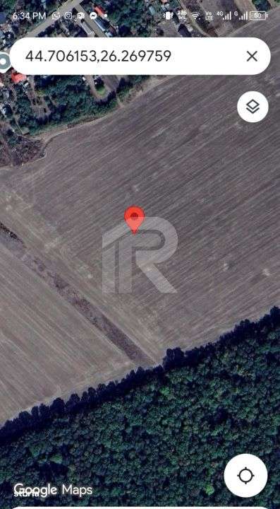 Com GRUIU_Reprezentare exclusiva_TEREN  EXTRAVILAN LANGA PADURE - Imagine principală: 4/4