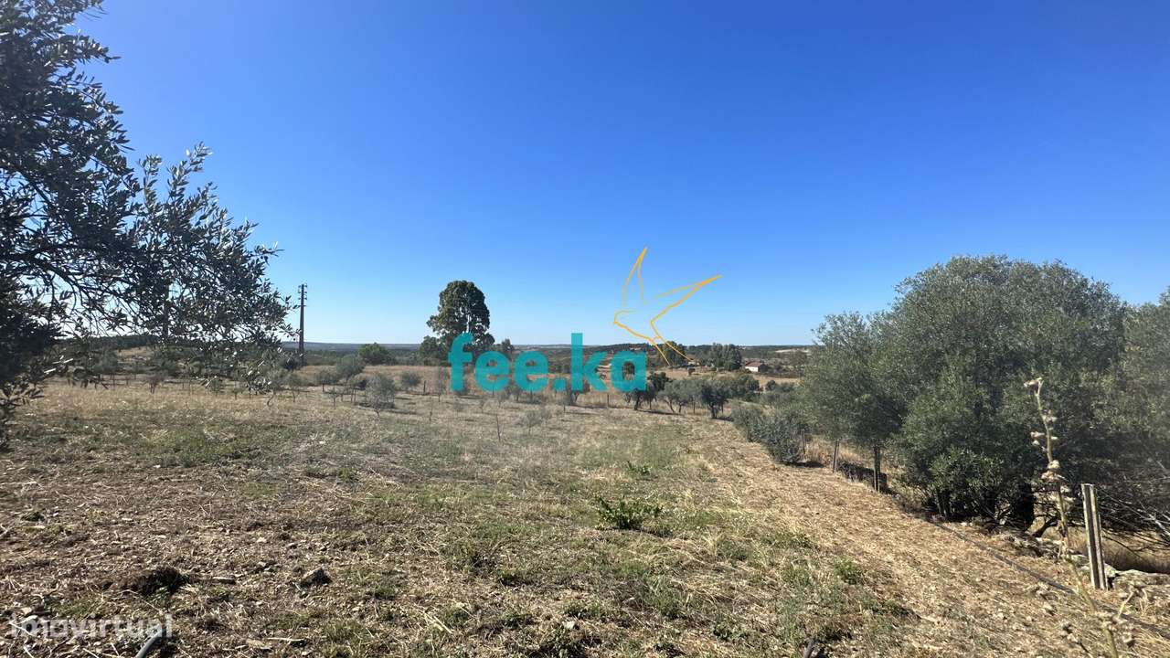 Quintinha em Monfortinho-13