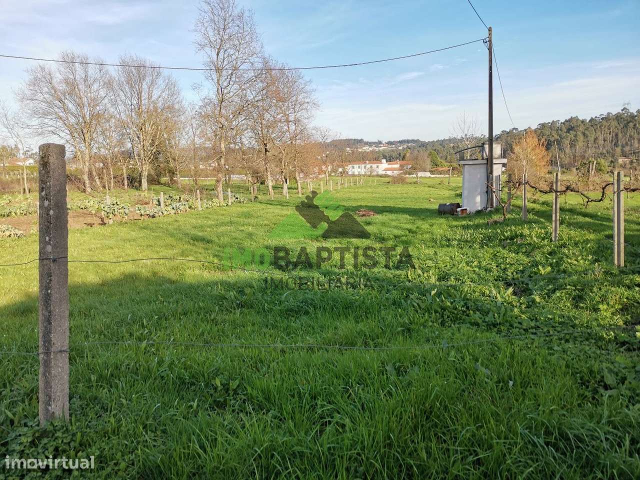 Terreno c/1100 m2 em Lobão - Grande imagem: 5/12