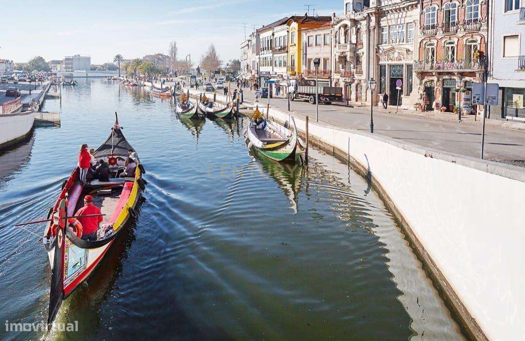 Terreno Rústico à Venda na Murtosa – Quintas do Norte - Grande imagem: 5/8