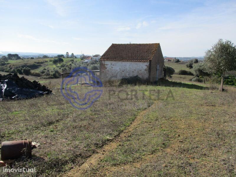 Terreno com 6 hectares próximo da cidade de Tomar no centro de Portuga