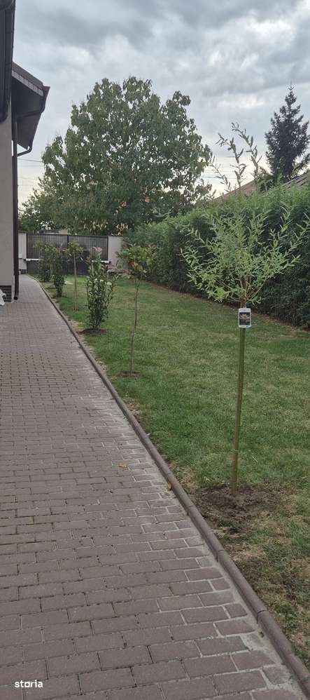 PROPRIETAR, Vând casă în orașul Piatra - Olt, jud. Olt - Imagine principală: 5/20