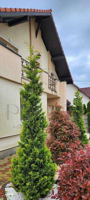 Casa individuala - zona excelenta - mobilata - curte amenajata superb - Imagine principală: 2/5