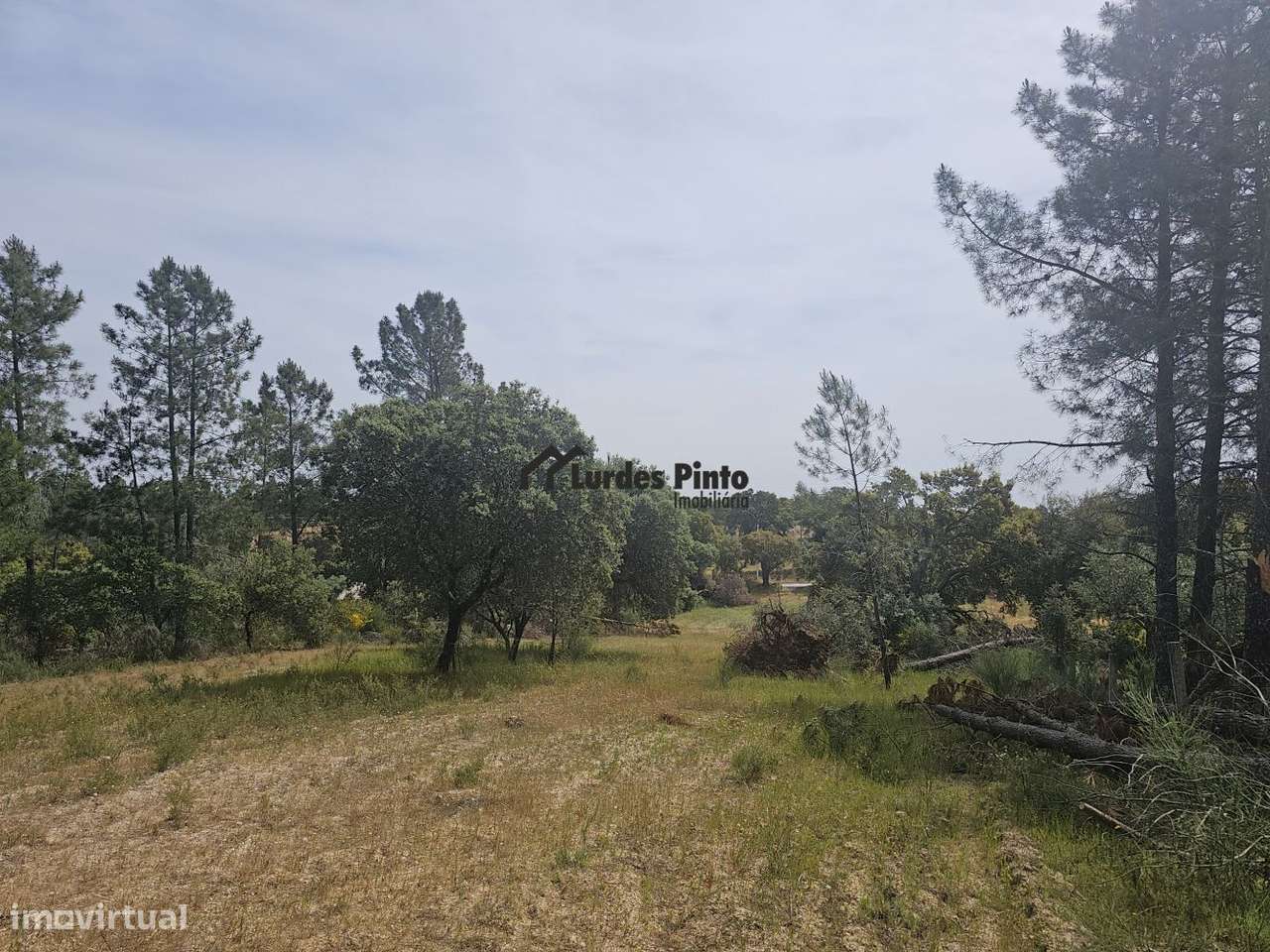 Terreno para construção-8