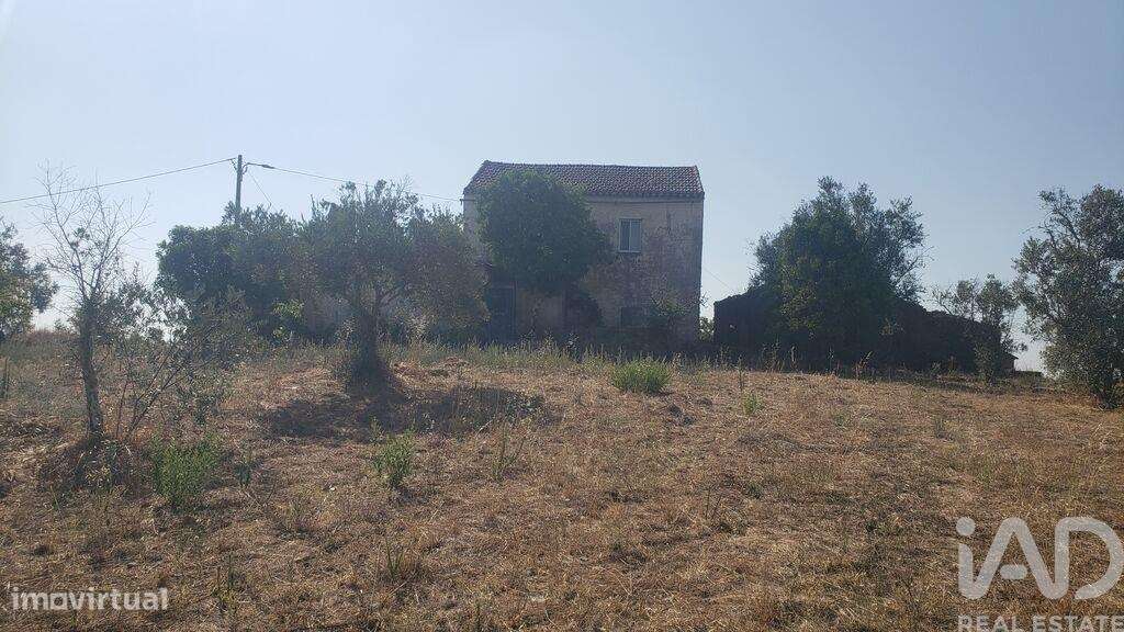 Moradia isolada T4 em Cardigos de 158,85 m2-10