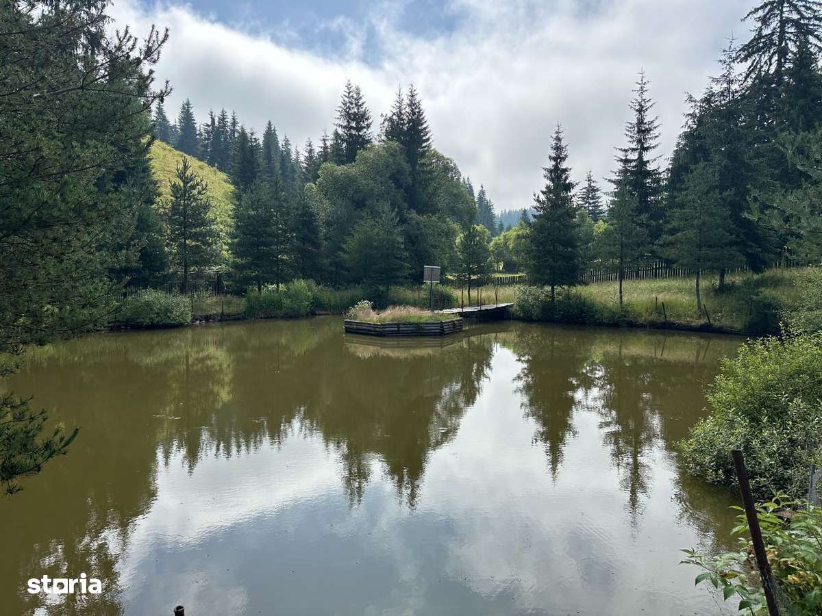 Casa + teren Dorna Arini - Imagine principală: 5/20