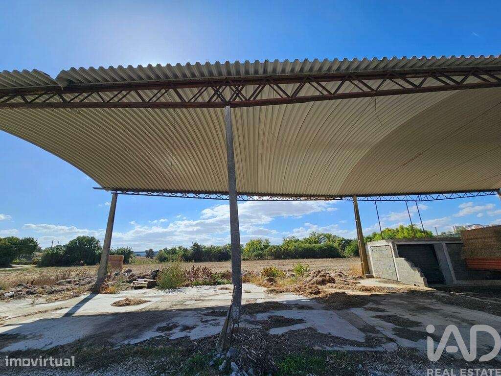 Quinta T4 em Chancelaria de 244 m2 - Grande imagem: 4/30