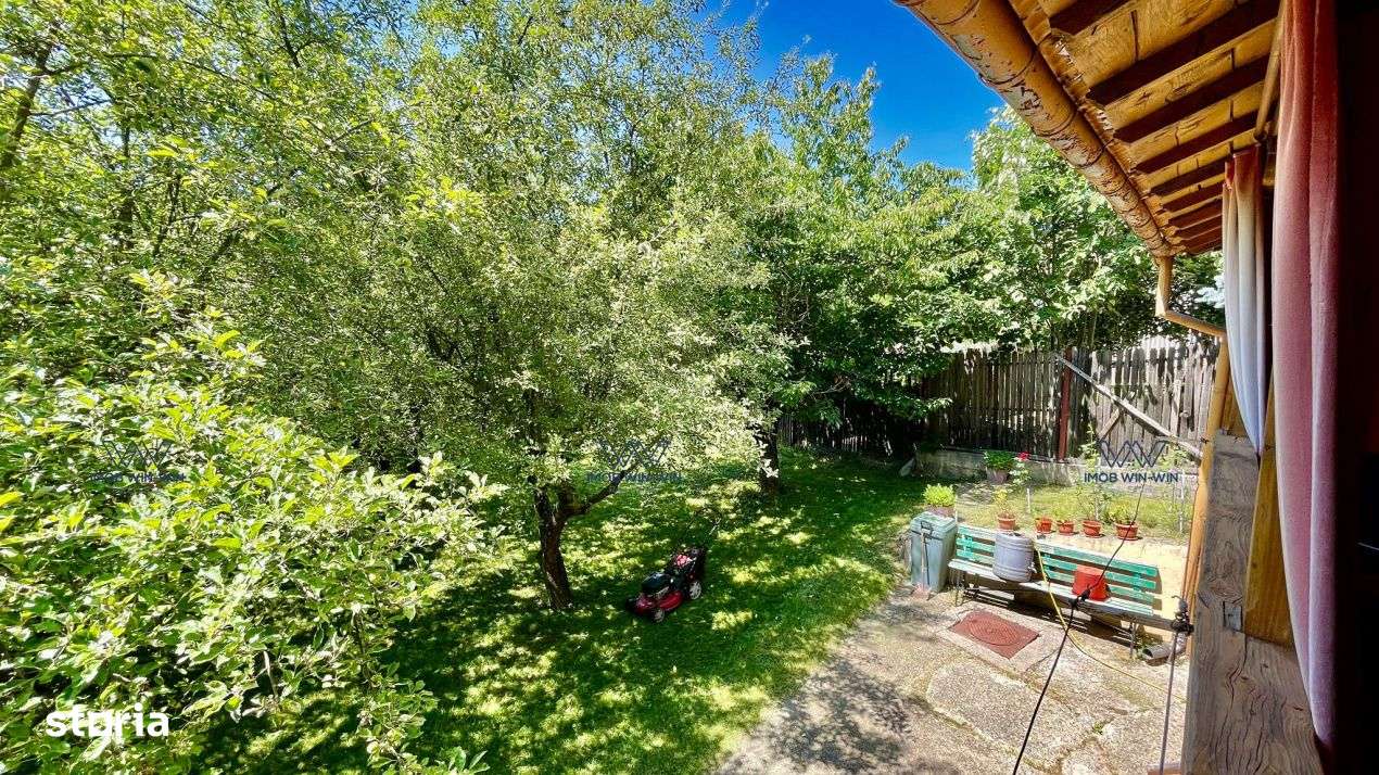 Proprietate Exceptionala cu Potential Dublu in Valea Ursului, Arges-6