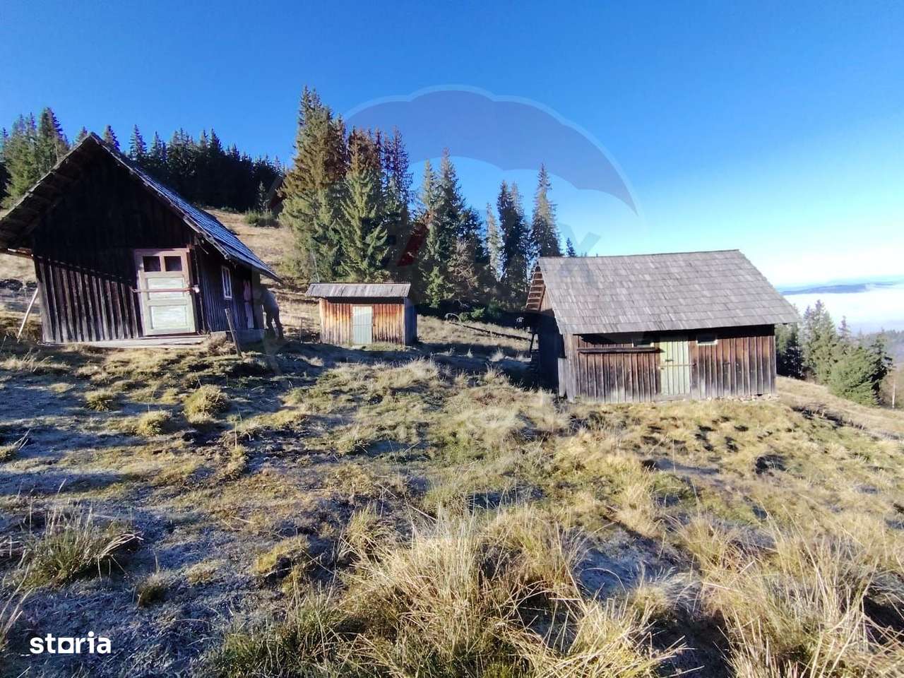 Teren 31,461mp Panaci / Prelungirea Ialovita-7