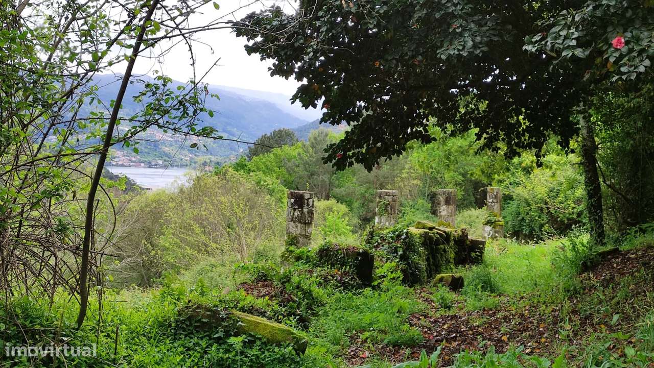 Quinta  Venda em Penhalonga e Paços de Gaiolo,Marco de Canaveses-36