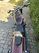 Harley-Davidson Softail - 4