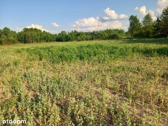 Lipiny | inwestycyjna | media w drodze - Pełny obrazek: 5/7