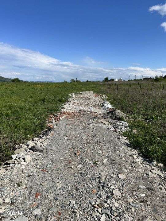 Teren de vanzare Valea Chintaului 1300mp front 24ml - Imagine principală: 5/5