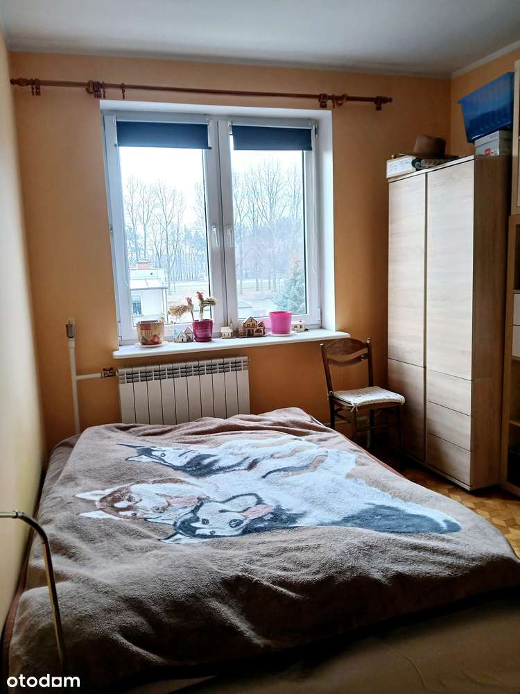 DUŻE MIESZKANIE DLA RODZINY  (88m2+garaż+2komórki) - Pełny obrazek: 5/11