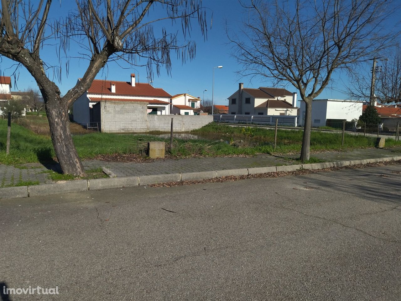 lote de terreno  Lardosa, Castelo Branco.