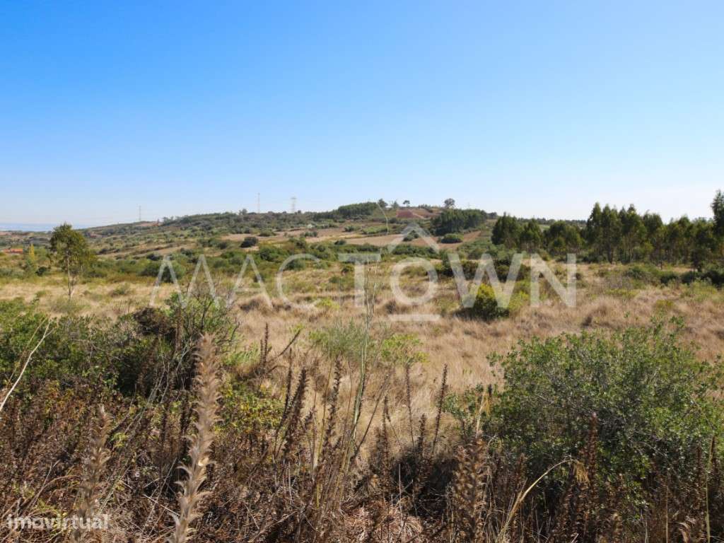 Invista no futuro: terreno com poço, bons acessos e vistas magníficas - Grande imagem: 3/24