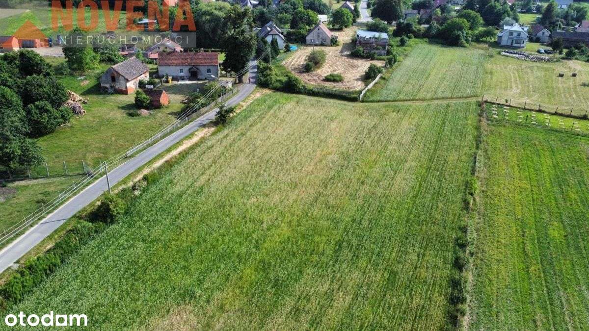 Niedary, las 280m - Pełny obrazek: 3/11