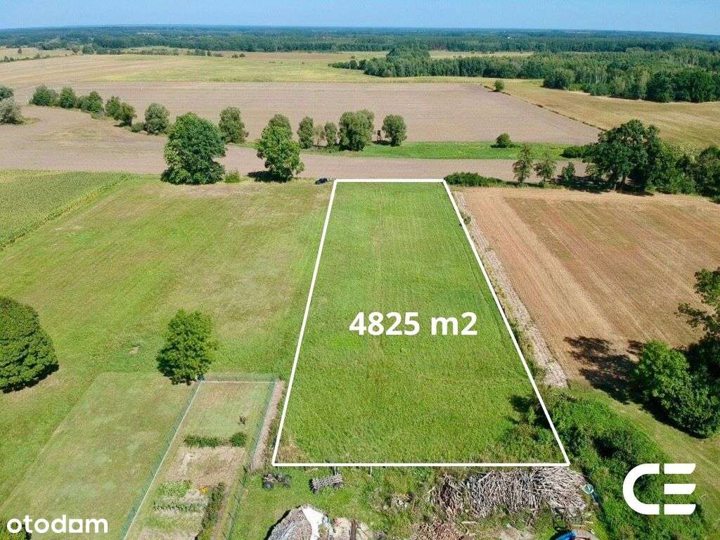 Grabowno Małe | 4825 m² | potencjał inwestycyjny
