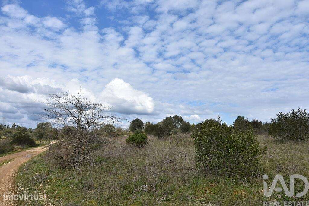 Terreno em Chãos de 13960,00 m2 - Grande imagem: 5/30