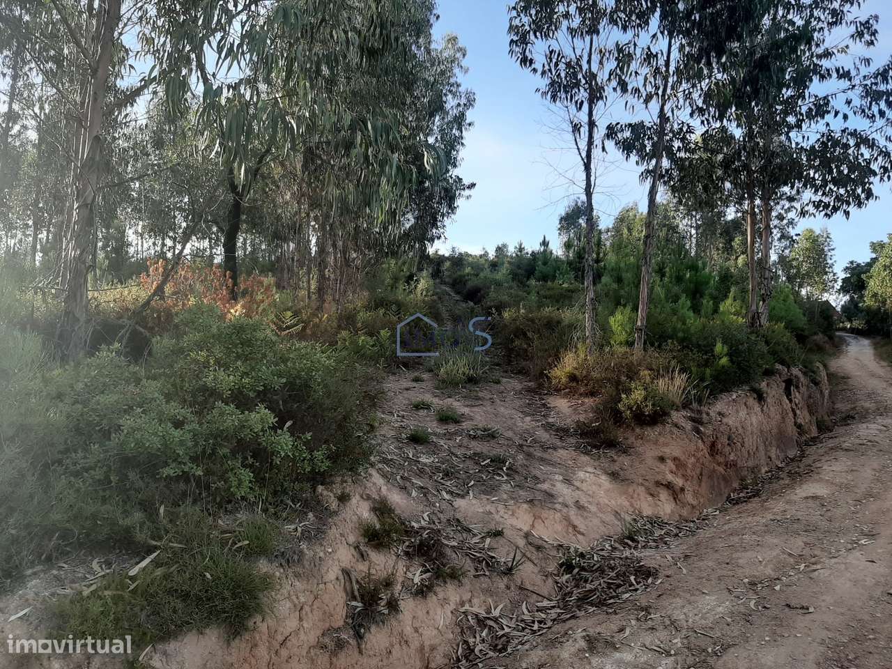 Terreno com Projeto Aprovado para Moradia em Besteiras – Águas Belas-29