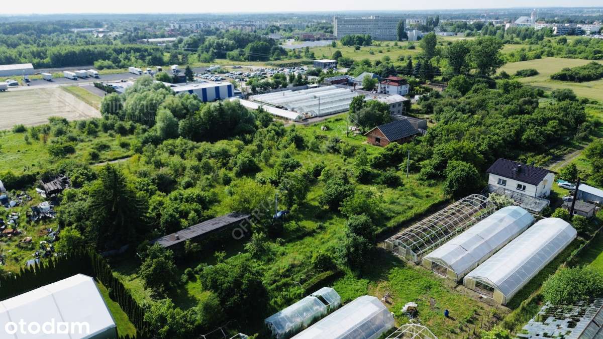 Sprzedam działkę 57 ar – Konin, Pawłówek - Pełny obrazek: 3/13