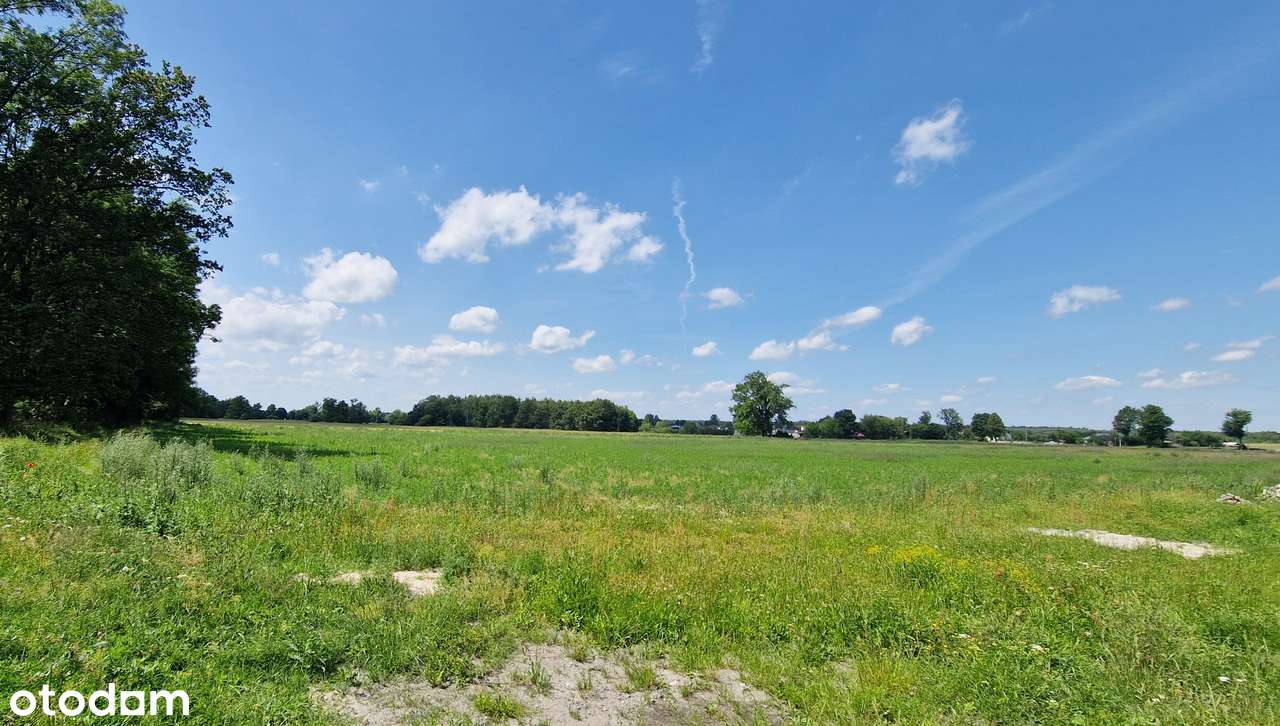 2 hektary przy drodze wojewódzkiej 784 Wojnowice gm. Gidle-3