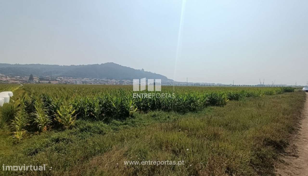 Venda de terreno agrícola com 7890m², Areosa, Viana do Castelo - Grande imagem: 4/21
