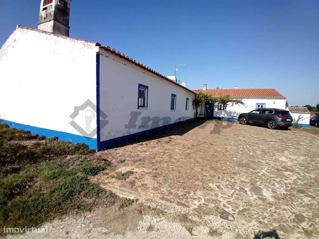 Herdade de 48,5Ha localizada no Malavado, São Teotónio com 20Ha de ... - Grande imagem: 4/34