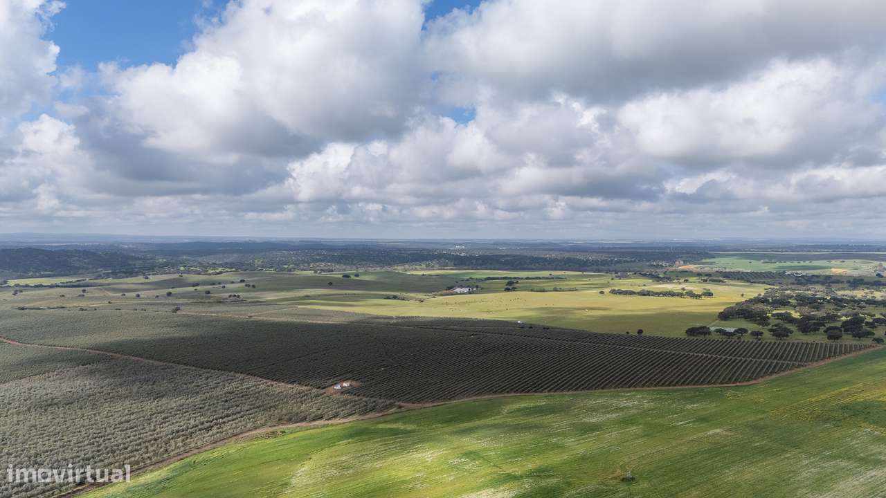 Herdade | Venda | Alentejo - Grande imagem: 4/8