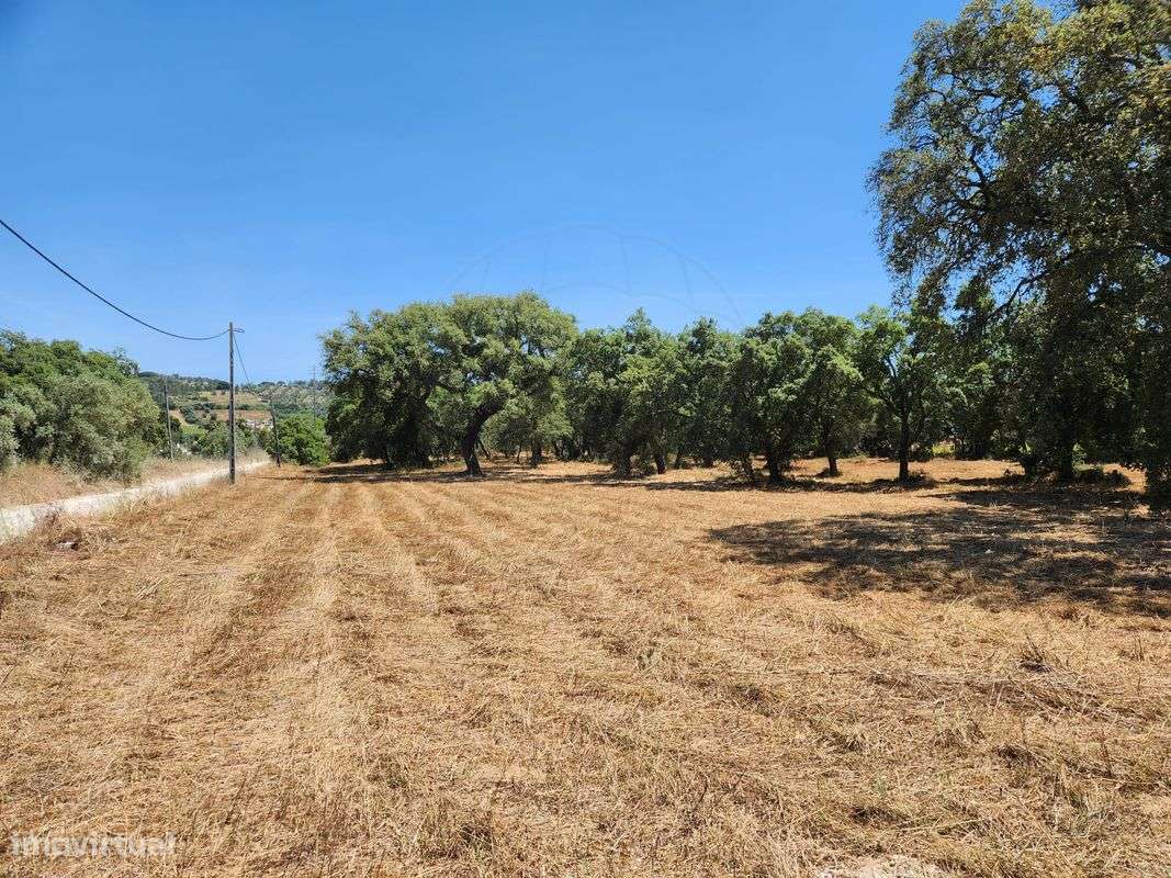 Terreno  para venda-8