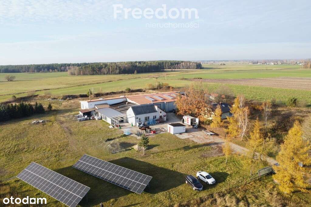 Hala produkcyjna z zapleczem blisko A2 - Pełny obrazek: 4/20