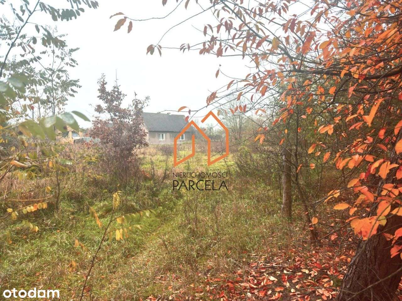 Działka budowlana pow. 2428 m2, Krzykosy. - Pełny obrazek: 4/4